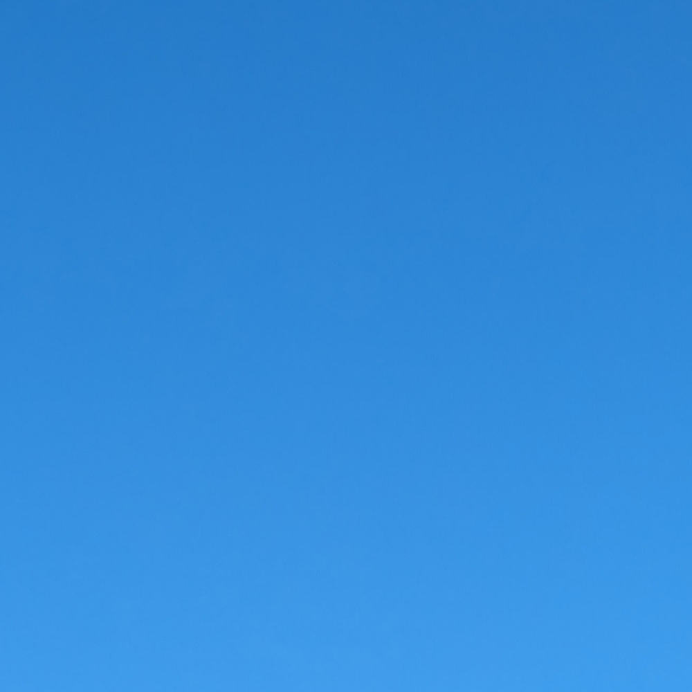 Meet your Posher, Cassie